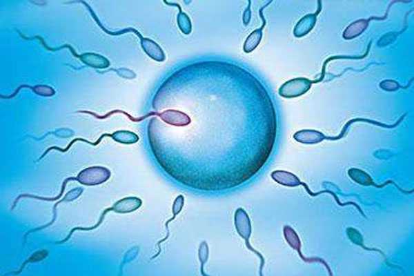 正规供卵医院_哪里可以供卵生子_6bc的囊胚质量怎么样,什么才能被称之为优质囊