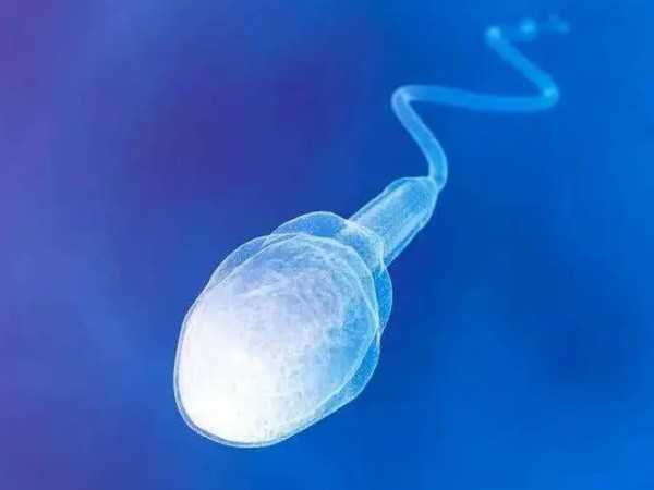 精子顶体酶活性低做人授or试管？胚胎质量差那是没选对技术